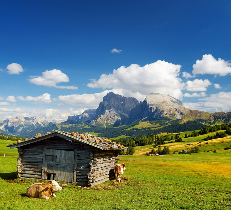 Alm_Dolomiten_620153672